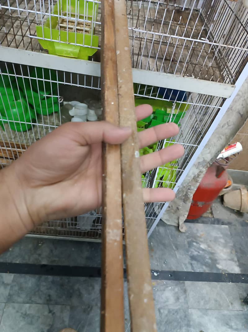 kicker breeding boxes 1