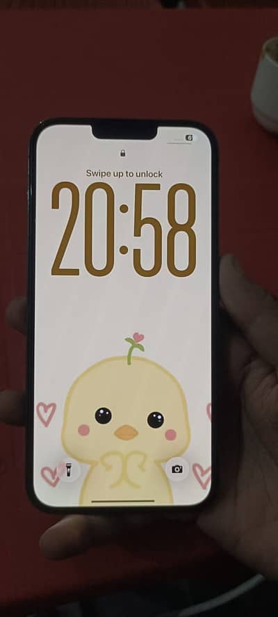 Apple iPhone 13 Pro Max