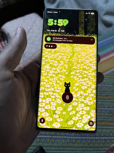 Google Pixel 6 Pro Approved