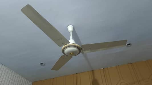 cieling fan copper wiring 10/10 royal fan 5 fans hain 5000 / piece