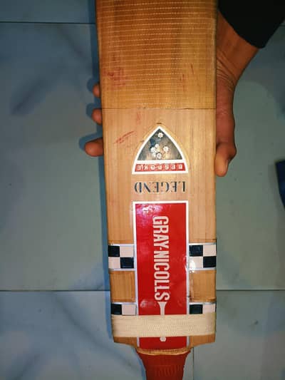 cricket bat