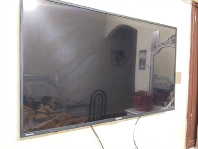 orient cheetah 39 inches led for sale