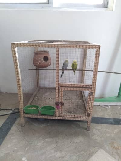 2×2 wooden cage + 1 budgie breader pair