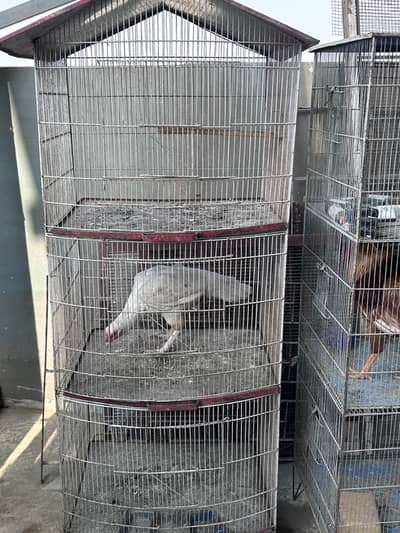 Two cages of three portion for sale