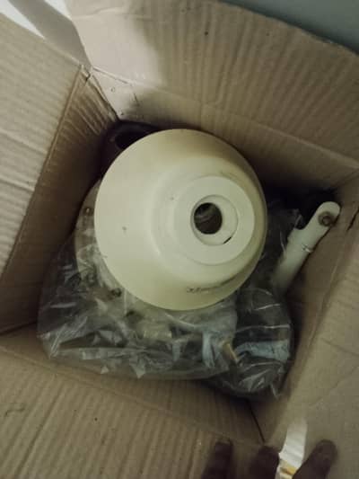 royal fan non acdc for sale