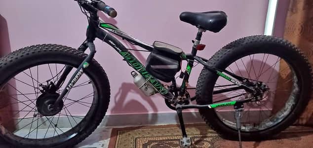  Morgan Fatboy Fat Tire MTB (Black/Green)