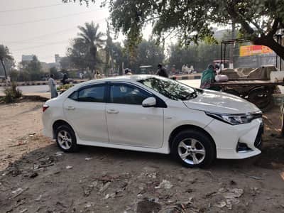 Carolla Xli convert x