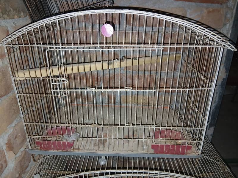 CAGES; BOXES & Ringneck 1