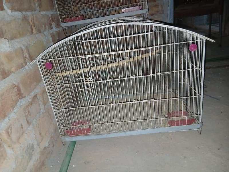 CAGES; BOXES & Ringneck 2