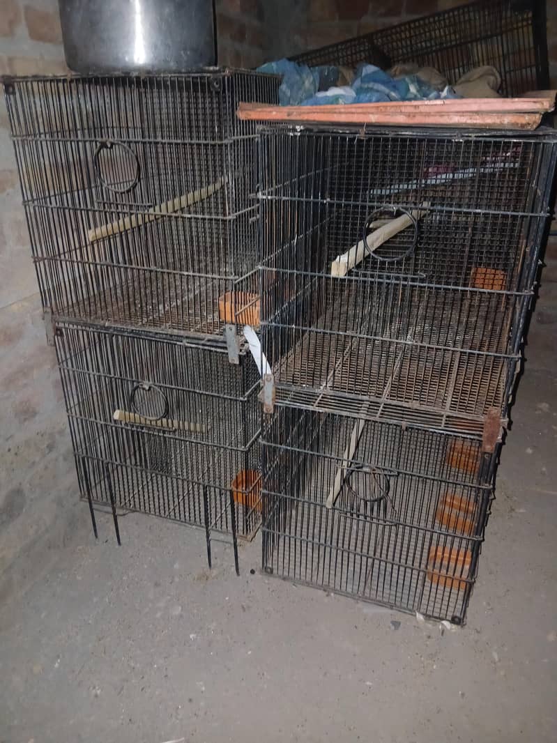 CAGES; BOXES & Ringneck 3