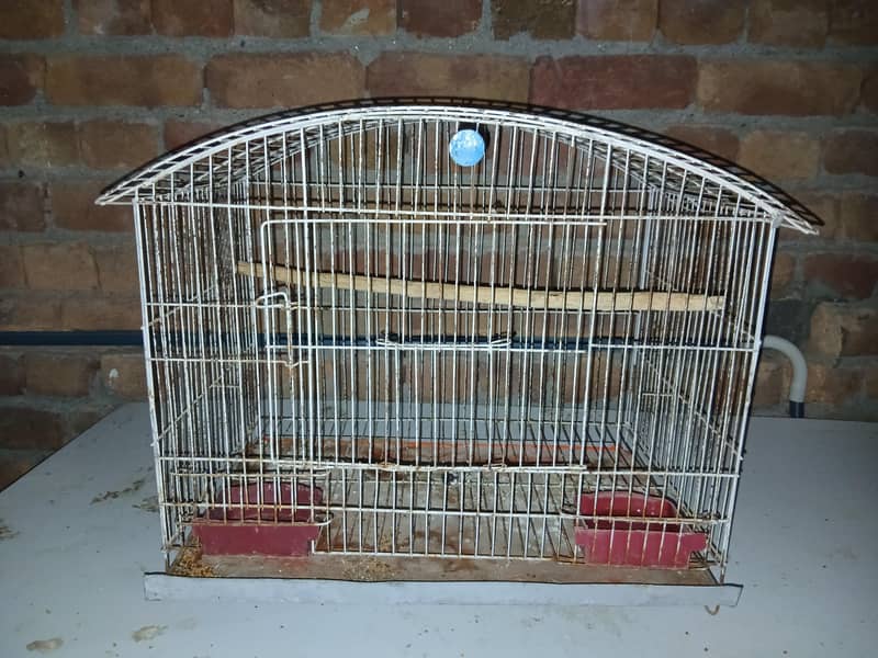 CAGES; BOXES & Ringneck 4