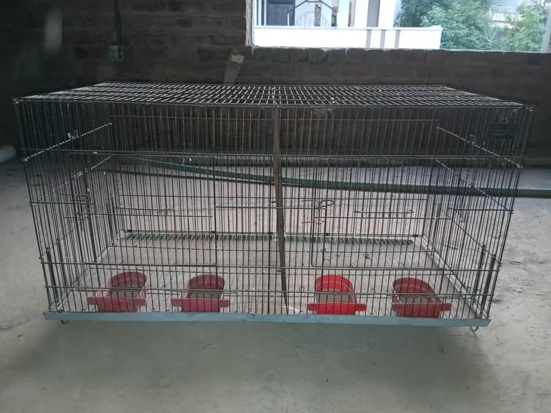 CAGES; BOXES & Ringneck 5