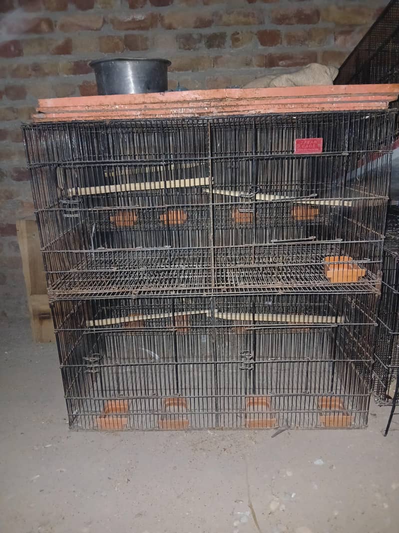 CAGES; BOXES & Ringneck 6