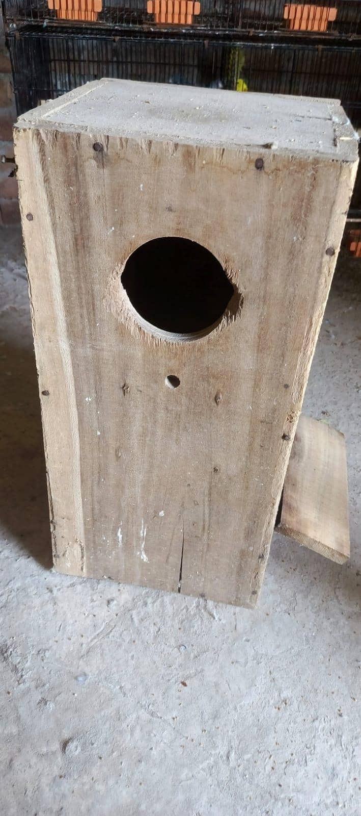 CAGES; BOXES & Ringneck 7