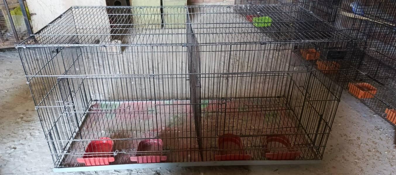 CAGES; BOXES & Ringneck 11