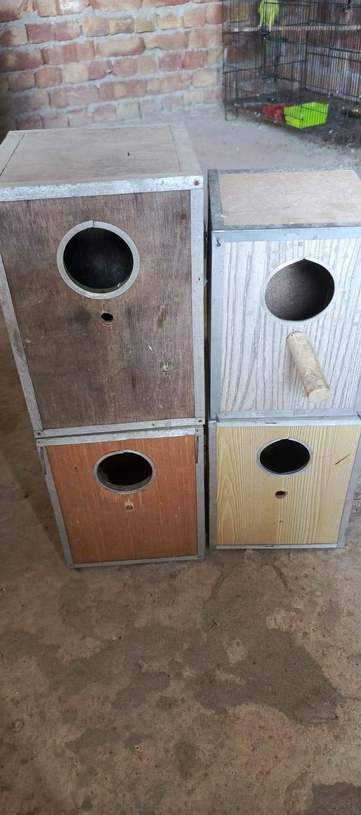 CAGES; BOXES & Ringneck 12