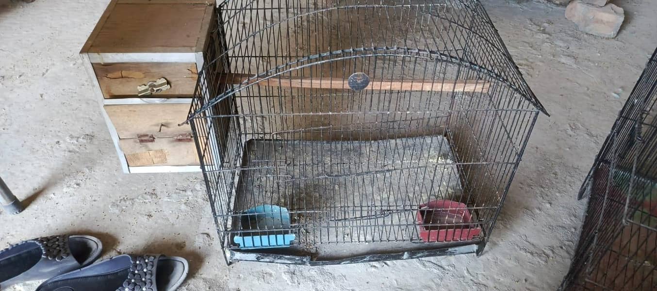 CAGES; BOXES & Ringneck 13