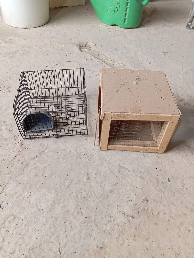 CAGES; BOXES & Ringneck 14