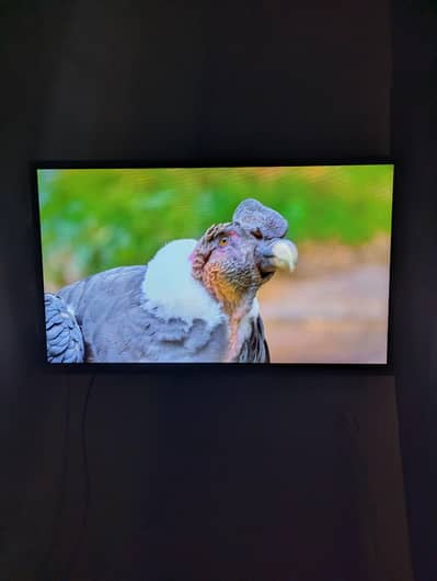 Changehong Ruba 32inch LED TV 10/10
