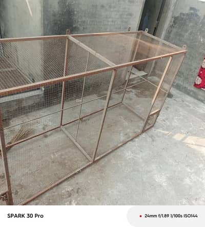 birds Cage