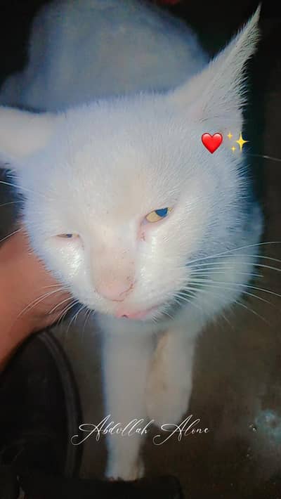 only for 4k. emergency