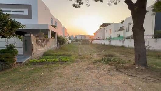 Plot Number Near 115 Final Price