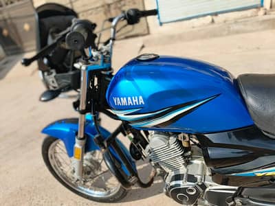 ybz19model pendi namber