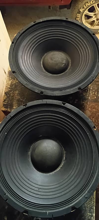 p audio 300 watts  speaker