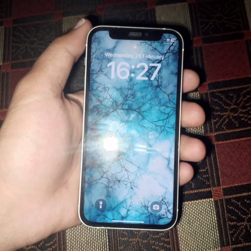 iPhone 12mini 4