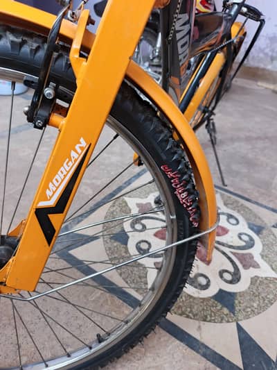 Morgen bicycle condition 10/9 brand new tiyer