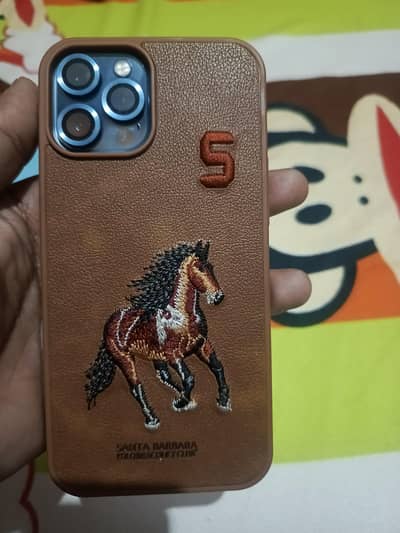 i phone 12 pro max Pta approved