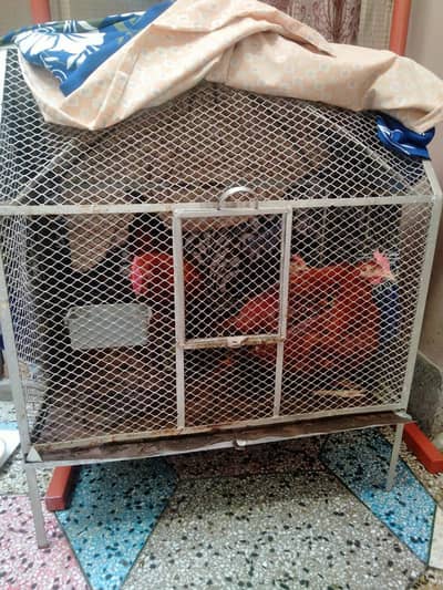 Steel cage for sale