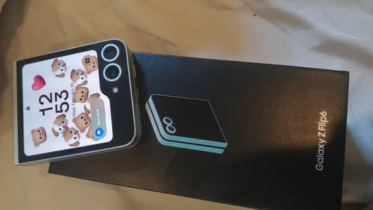 ZFlip 6 256 12GB 10/10