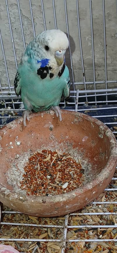 High Quality Exhibition