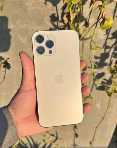 iphone 12 pro max 10/10 condition 100% battery health water pack