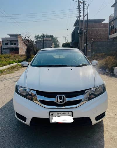 Bumper to Bumper janion