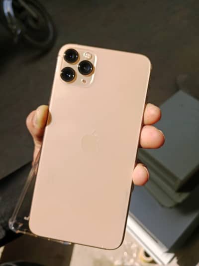 iPhone 11 Pro Max bulbul ka bacha