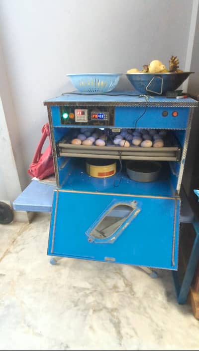 Fully automatic incubator 80 eggs capacity
