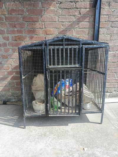 cage for hen and parit 2by3foot