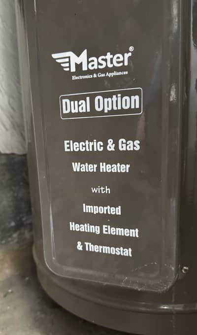 Master Electric Auto ignition super heavy 25 gallon