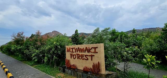 Faisal Hills A Bloy 10 Marla Solid Plot For Sale