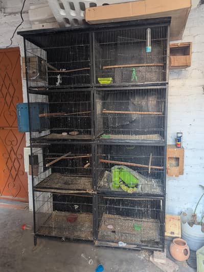 8 portions birds cage