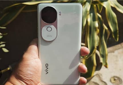 Vivo v40e 8 GB + 256 GB