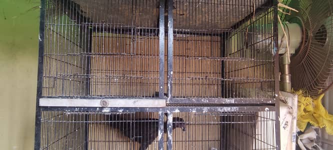 hen iron cage best for hens or chicks perpus bohat mazbot hey