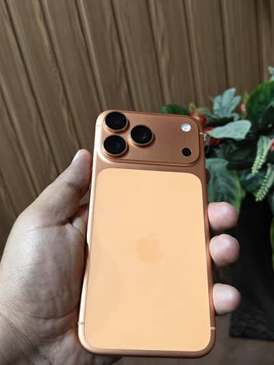 Import from uk This year