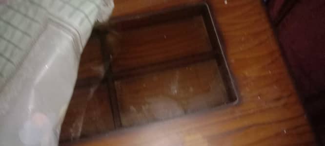 5siter with one table