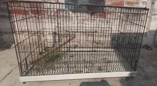 bird cage