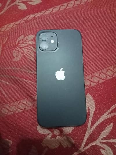 WhatsApp contact 03189258453