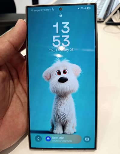 Samsung Galaxy S24 Ulta - 12 GB RAM / 256 GB