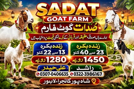 BAKRA AVAILABLE